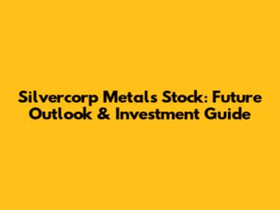 Silvercorp Metals Stock: Future Outlook & Investment Guide