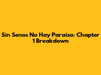 Sin Senos No Hay Paraiso: Chapter 1 Breakdown