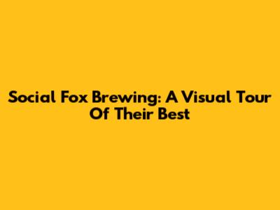 Social Fox Brewing: A Visual Tour Of Their Best
