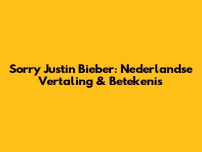 Sorry Justin Bieber: Nederlandse Vertaling & Betekenis