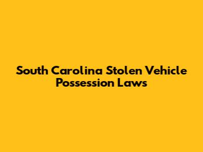 South Carolina Stolen Vehicle Possession Laws