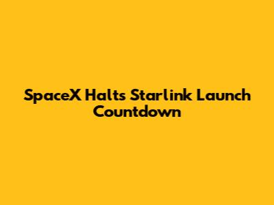 SpaceX Halts Starlink Launch Countdown
