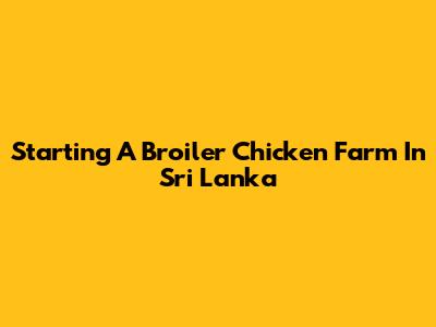 Starting A Broiler Chicken Farm In Sri Lanka