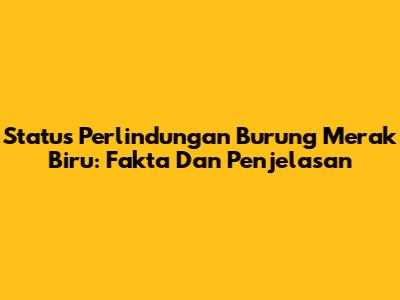 Status Perlindungan Burung Merak Biru: Fakta Dan Penjelasan