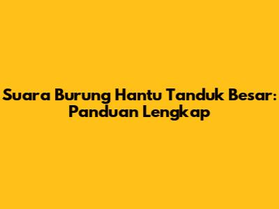 Suara Burung Hantu Tanduk Besar: Panduan Lengkap