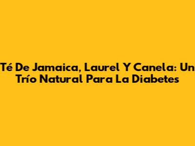 Té De Jamaica, Laurel Y Canela: Un Trío Natural Para La Diabetes