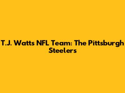 T.J. Watt's NFL Team: The Pittsburgh Steelers