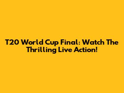 T20 World Cup Final: Watch The Thrilling Live Action!