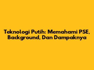 Teknologi Putih: Memahami PSE, Background, Dan Dampaknya