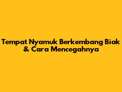 Tempat Nyamuk Berkembang Biak & Cara Mencegahnya