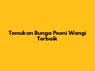 Temukan Bunga Peoni Wangi Terbaik