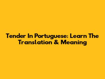 Tender In Portuguese: Learn The Translation & Meaning