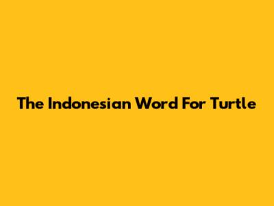 The Indonesian Word For Turtle