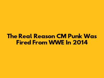 The Real Reason CM Punk Was Fired From WWE In 2014