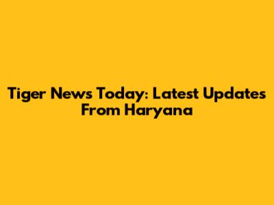 Tiger News Today: Latest Updates From Haryana