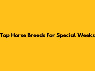 Top Horse Breeds For Special Weeks