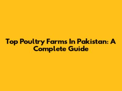 Top Poultry Farms In Pakistan: A Complete Guide