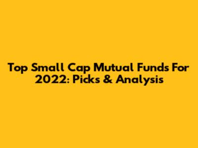 Top Small Cap Mutual Funds For 2022: Picks & Analysis