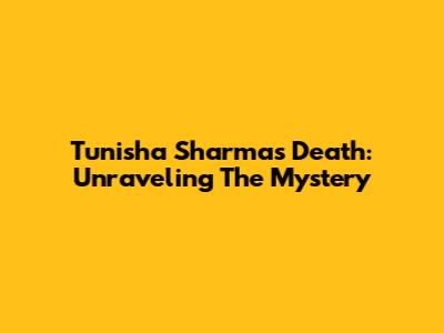 Tunisha Sharma's Death: Unraveling The Mystery