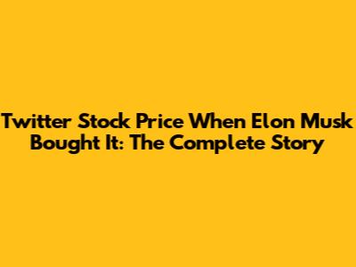 Twitter Stock Price When Elon Musk Bought It: The Complete Story
