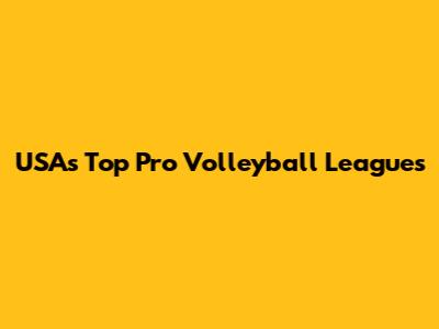 USA's Top Pro Volleyball Leagues