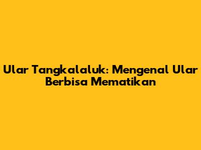 Ular Tangkalaluk: Mengenal Ular Berbisa Mematikan