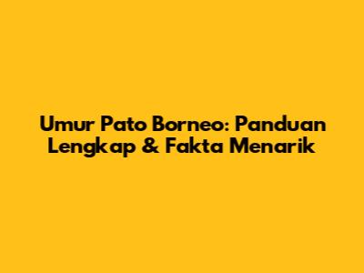 Umur Pato Borneo: Panduan Lengkap & Fakta Menarik