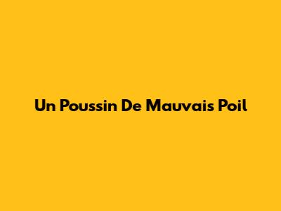 Un Poussin De Mauvais Poil