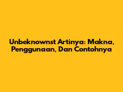 Unbeknownst Artinya: Makna, Penggunaan, Dan Contohnya