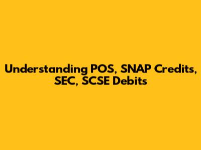 Understanding POS, SNAP Credits, SEC, SCSE Debits