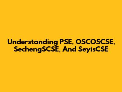 Understanding PSE, OSCOSCSE, SechengSCSE, And SeyisCSE
