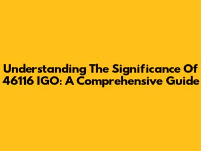 Understanding The Significance Of 46116 IGO: A Comprehensive Guide