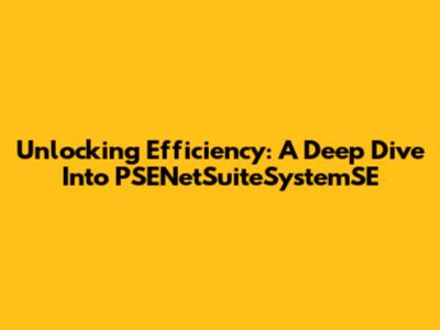 Unlocking Efficiency: A Deep Dive Into PSENetSuiteSystemSE