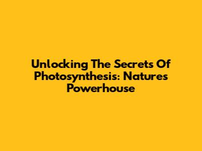Unlocking The Secrets Of Photosynthesis: Nature's Powerhouse