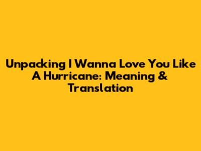 Unpacking 'I Wanna Love You Like A Hurricane': Meaning & Translation