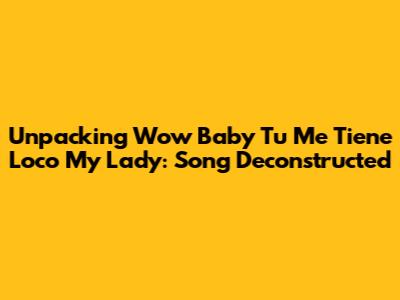 Unpacking 'Wow Baby Tu Me Tiene Loco My Lady': Song Deconstructed