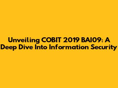 Unveiling COBIT 2019 BAI09: A Deep Dive Into Information Security