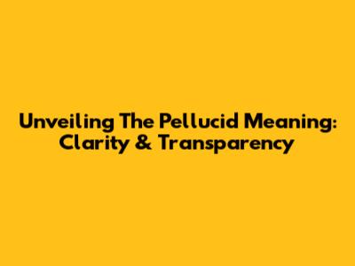 Unveiling The Pellucid Meaning: Clarity & Transparency