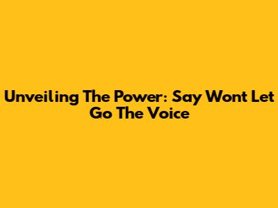 Unveiling The Power: Say Won't Let Go The Voice