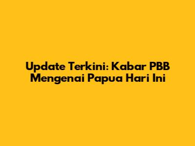 Update Terkini: Kabar PBB Mengenai Papua Hari Ini