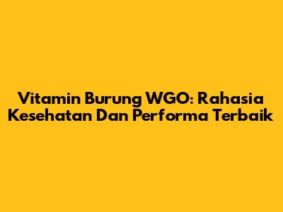 Vitamin Burung WGO: Rahasia Kesehatan Dan Performa Terbaik