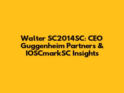 Walter SC2014SC: CEO Guggenheim Partners & IOSCmarkSC Insights