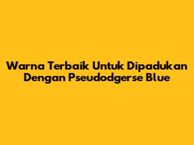 Warna Terbaik Untuk Dipadukan Dengan Pseudodgerse Blue