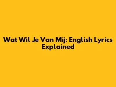 Wat Wil Je Van Mij: English Lyrics Explained
