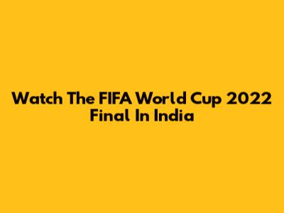 Watch The FIFA World Cup 2022 Final In India