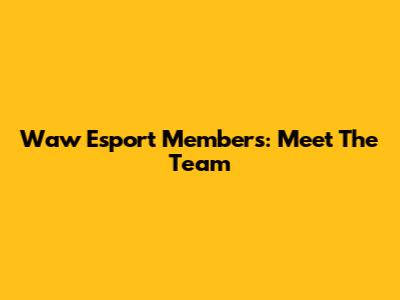 Waw Esport Members: Meet The Team