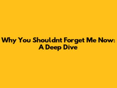 Why You Shouldn't Forget Me Now: A Deep Dive