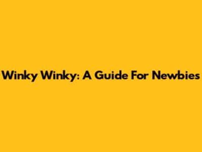 Winky Winky: A Guide For Newbies