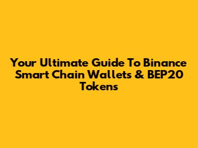 Your Ultimate Guide To Binance Smart Chain Wallets & BEP20 Tokens