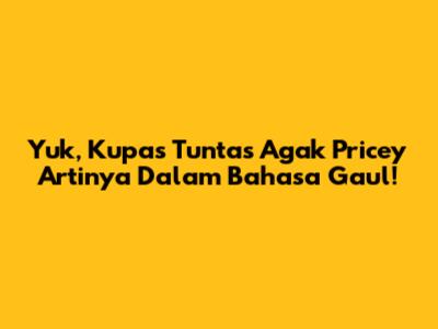 Yuk, Kupas Tuntas 'Agak Pricey' Artinya Dalam Bahasa Gaul!